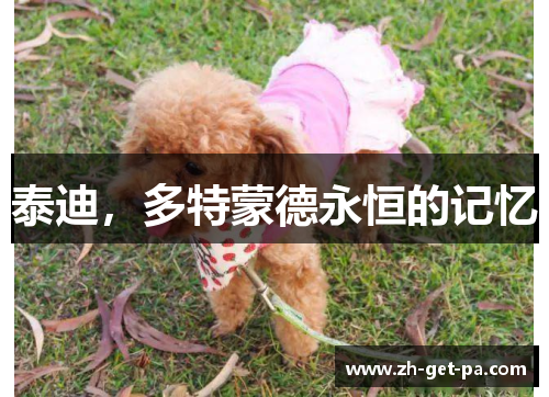 泰迪，多特蒙德永恒的记忆