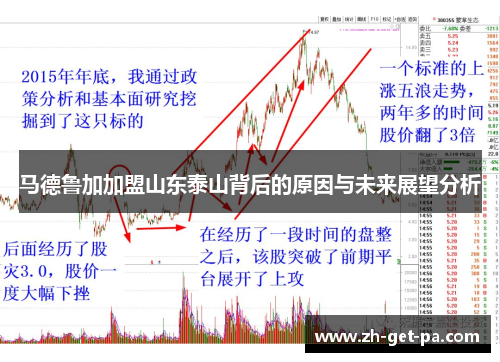 马德鲁加加盟山东泰山背后的原因与未来展望分析