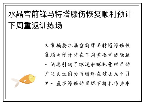 水晶宫前锋马特塔膝伤恢复顺利预计下周重返训练场